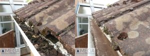 gutter clearance in Andover Hampshire - Omega Window Cleaning