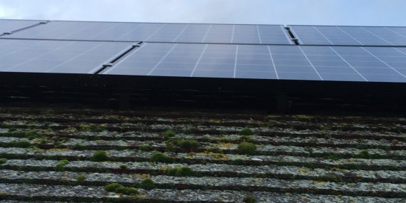 Solar panel cleaning in Wiltshire- before - Omega Window Cleaning